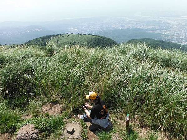 大屯山群峰 054