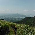 大屯山群峰 088