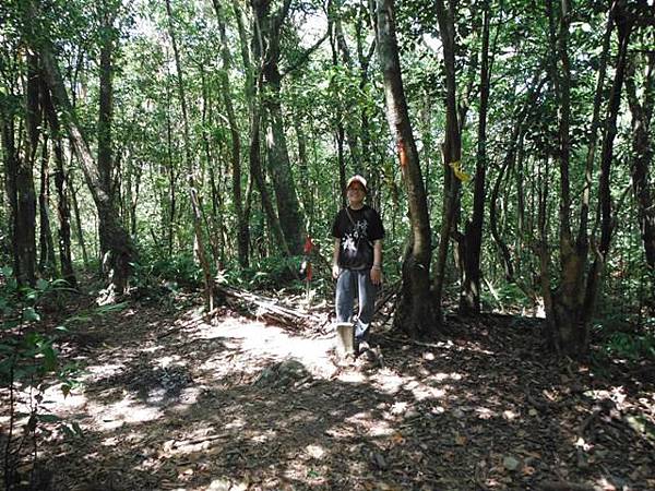 拔刀爾山.美鹿山南峰 020