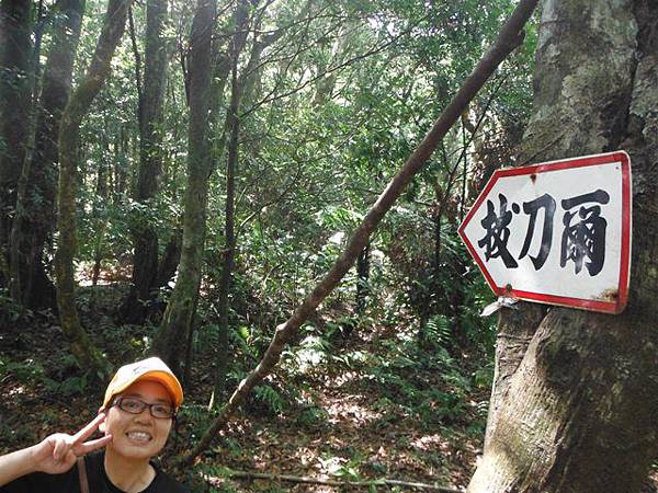 拔刀爾山.美鹿山南峰 030