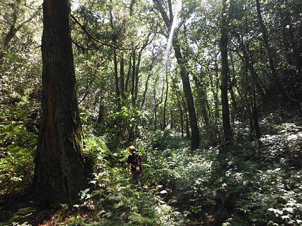 拔刀爾山.美鹿山南峰 045