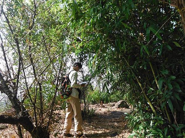 成子寮山.福隆山.水尾山.水尾小水準點218號 037