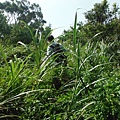 成子寮山.福隆山.水尾山.水尾小水準點218號 060