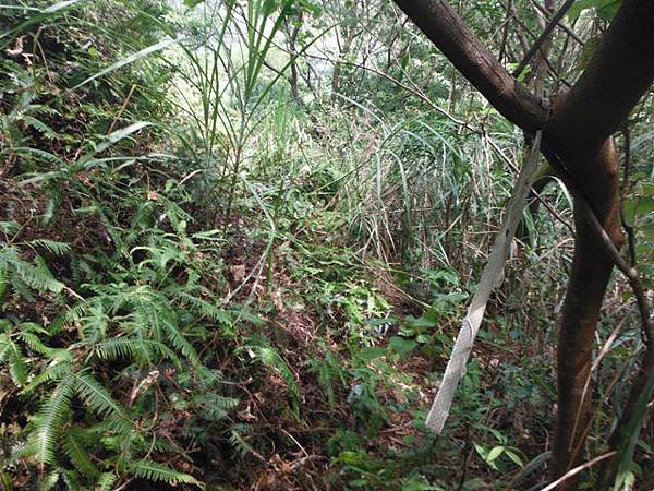 成子寮山.福隆山.水尾山.水尾小水準點218號 117