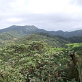 雲海山.大格門古道 038