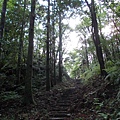 雲海山.大格門古道 069