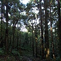 雲海山.大格門古道 086