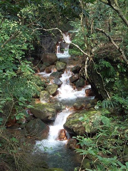 魚路古道水準點.大油坑 006