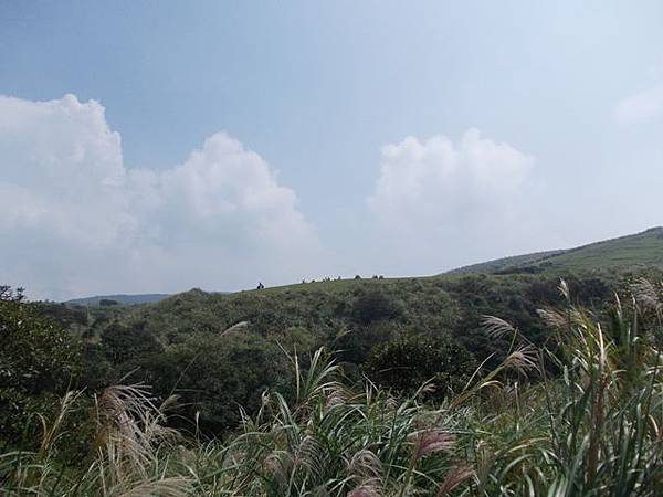 魚路古道水準點.大油坑 022