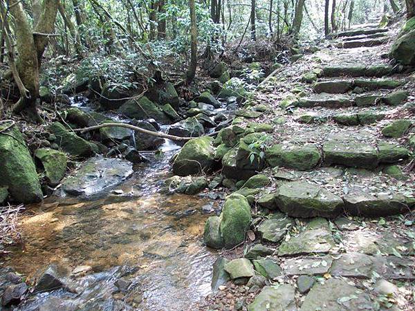 魚路古道水準點.大油坑 127