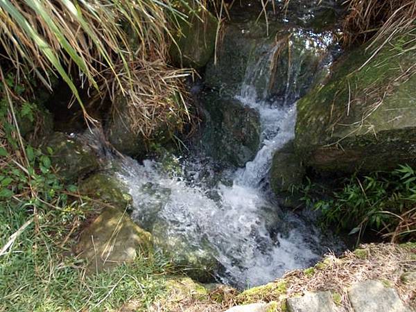 魚路古道水準點.大油坑 135