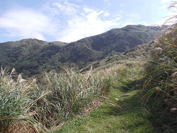 魚路古道水準點.大油坑 138