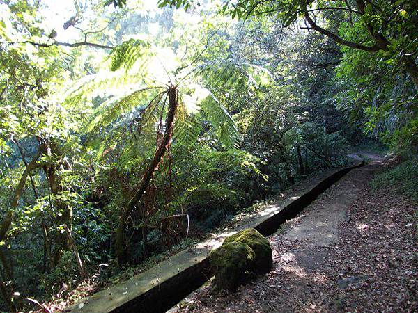 魚路古道水準點.大油坑 168