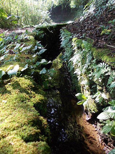 魚路古道水準點.大油坑 169