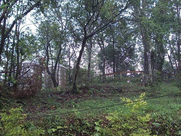 蕃薯窩山.二格自然生態園區 043