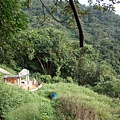 山豬窟山水綠生態公園.山豬窟尖西北峰 080