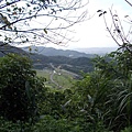 山豬窟山水綠生態公園.山豬窟尖西北峰 082