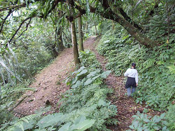 漁光派出所鑛務課666基石.灣潭古道 130