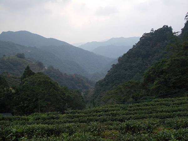 漁光派出所鑛務課666基石.灣潭古道 150