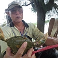 P1130610