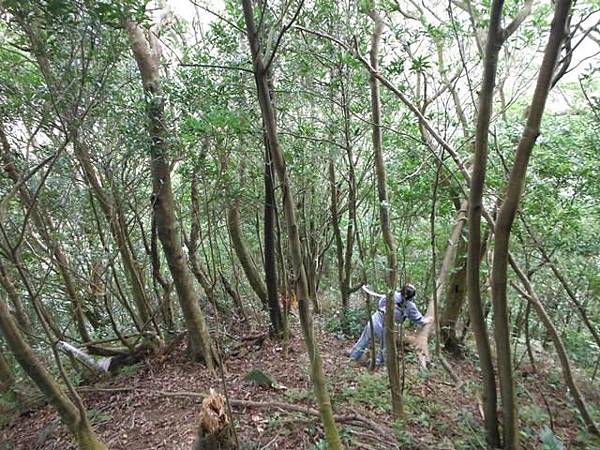 月扇湖山.許家手工麵線 025