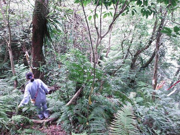 月扇湖山.許家手工麵線 033
