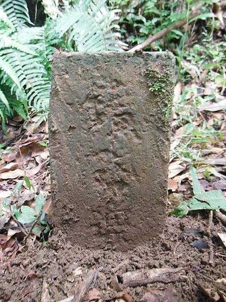 月扇湖山.許家手工麵線 038