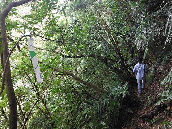 月扇湖山.許家手工麵線 051