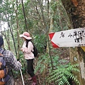 雞心尖.中嶺山.石碇後山.赤腳蘭山.鳥嘴尖 169