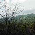 雞心尖.中嶺山.石碇後山.赤腳蘭山.鳥嘴尖 213