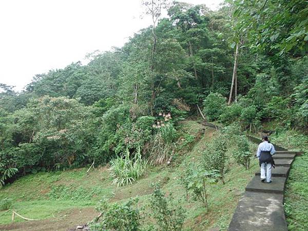 二鬮山.壽山.烏塗窟山.米立可牛排 057