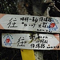 溝乾子山.四堵山 023