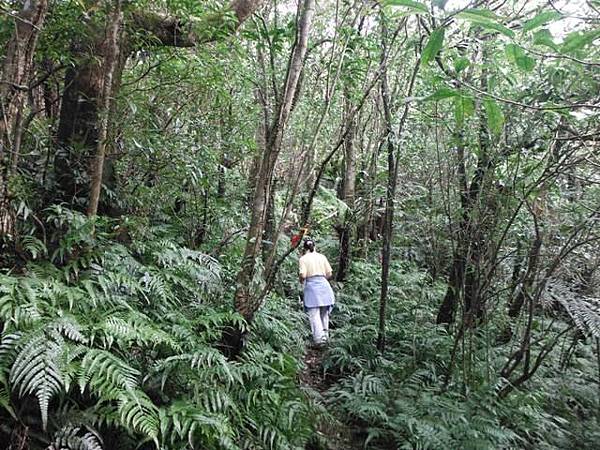 溝乾子山.四堵山 029