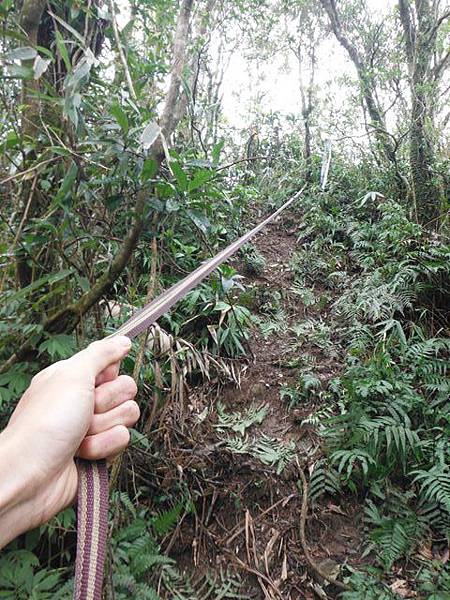 溝乾子山.四堵山 045