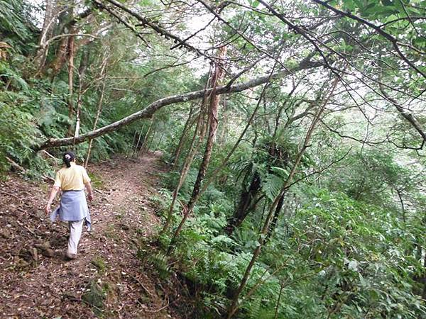 溝乾子山.四堵山 090