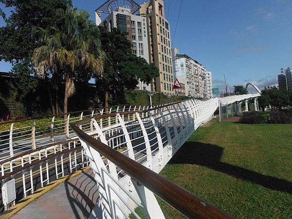 古亭河濱公園花海 027