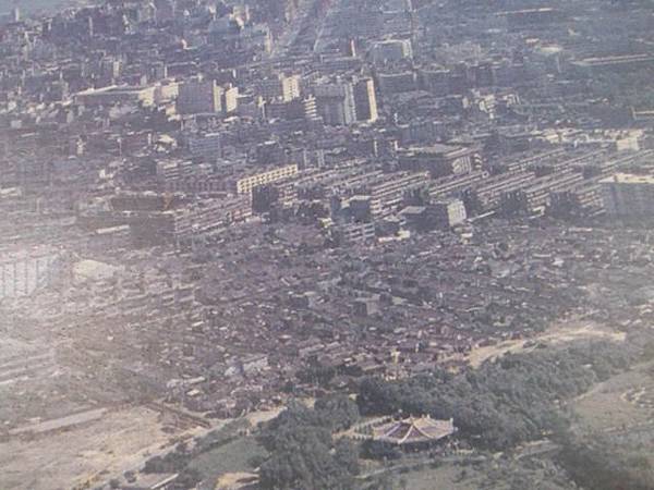 古亭河濱公園花海 051