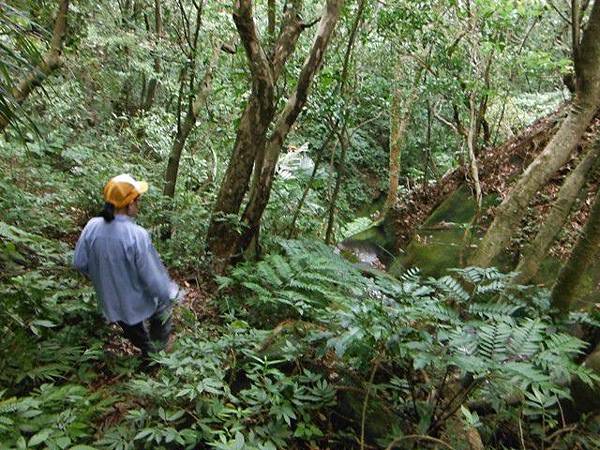 灰窯瀑布.畝畝山.石硿子古道.石硿子瀑布 129.JPG