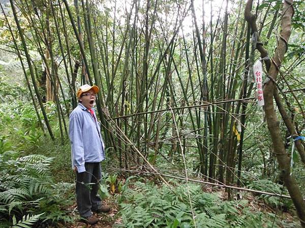 灰窯瀑布.畝畝山.石硿子古道.石硿子瀑布 173