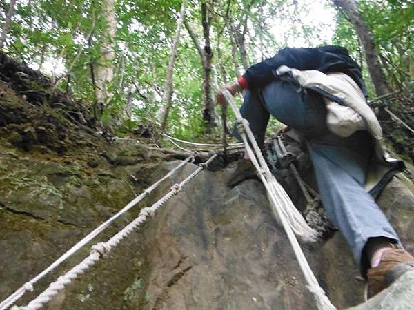 滿月元國家森林遊樂區.滿月圓山 100