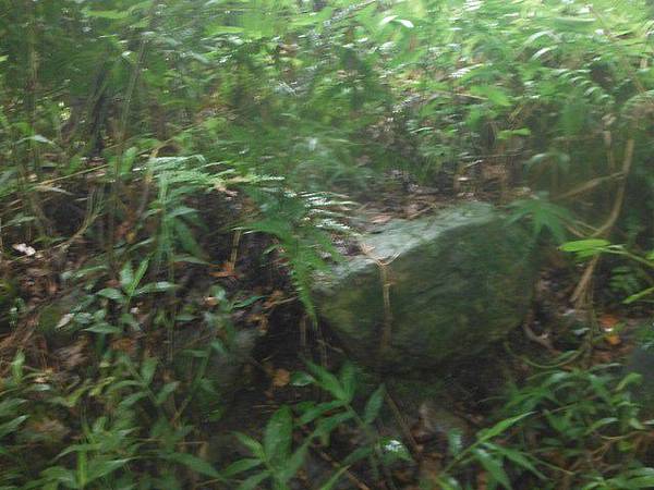 八天七夜機車環島 325