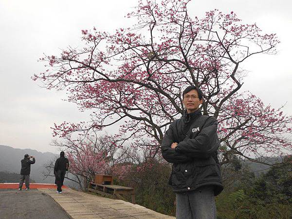 小格頭苗圃賞櫻.雲海山 047