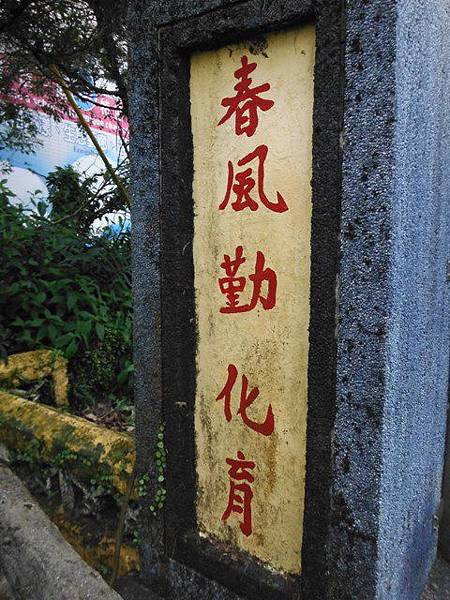 小格頭苗圃賞櫻.雲海山 119