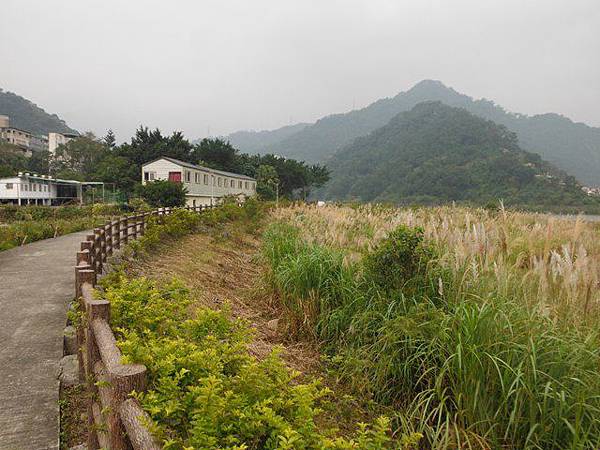 姐姐寶藏巖.花園新城賞櫻.癮水圳道步道.屈尺古道.櫻花街.東聖宮.五十六份登山步道 045