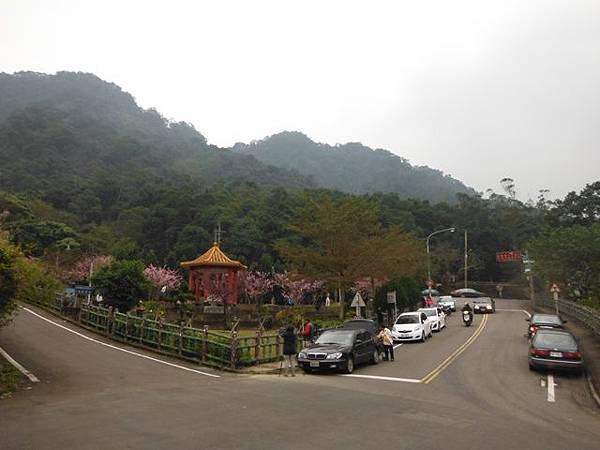 姐姐寶藏巖.花園新城賞櫻.癮水圳道步道.屈尺古道.櫻花街.東聖宮.五十六份登山步道 068