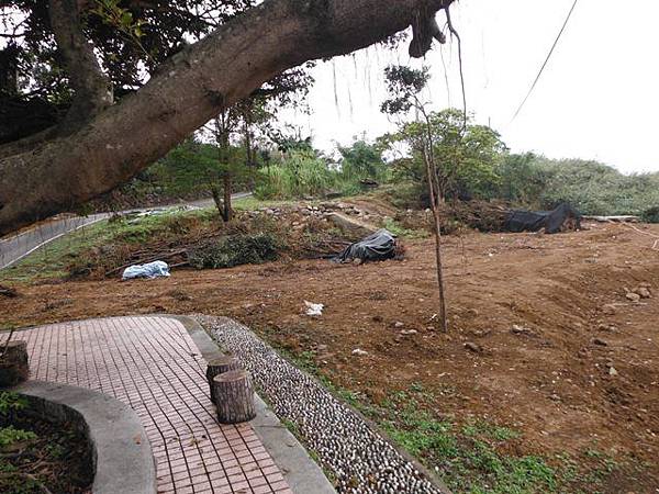 中國麗緻飯店賞櫻.金包里公學校三界壇分校御大禮記念樹.金山中山公園賞櫻.三重橋鑛務課194基石 019