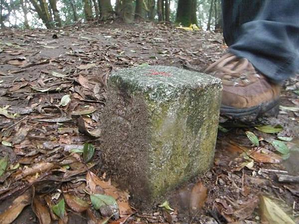 如意湖.金明山.柯子林山 052