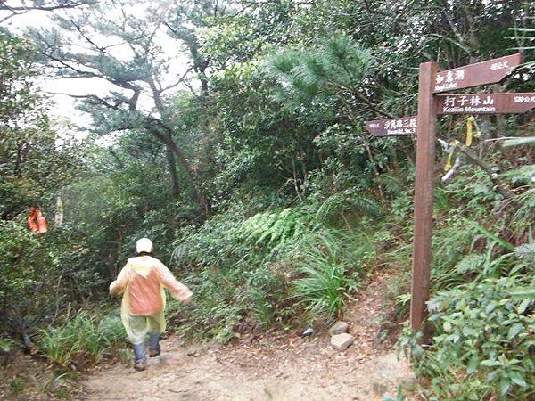 如意湖.金明山.柯子林山 083
