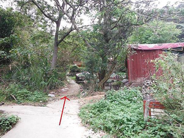 林子口山.東方寺吉野櫻.蔡博士的家.小草山.小草山圖跟點 009