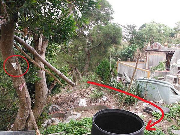 林子口山.東方寺吉野櫻.蔡博士的家.小草山.小草山圖跟點 013